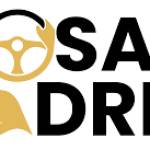 Pro Safe Drive Profile Picture