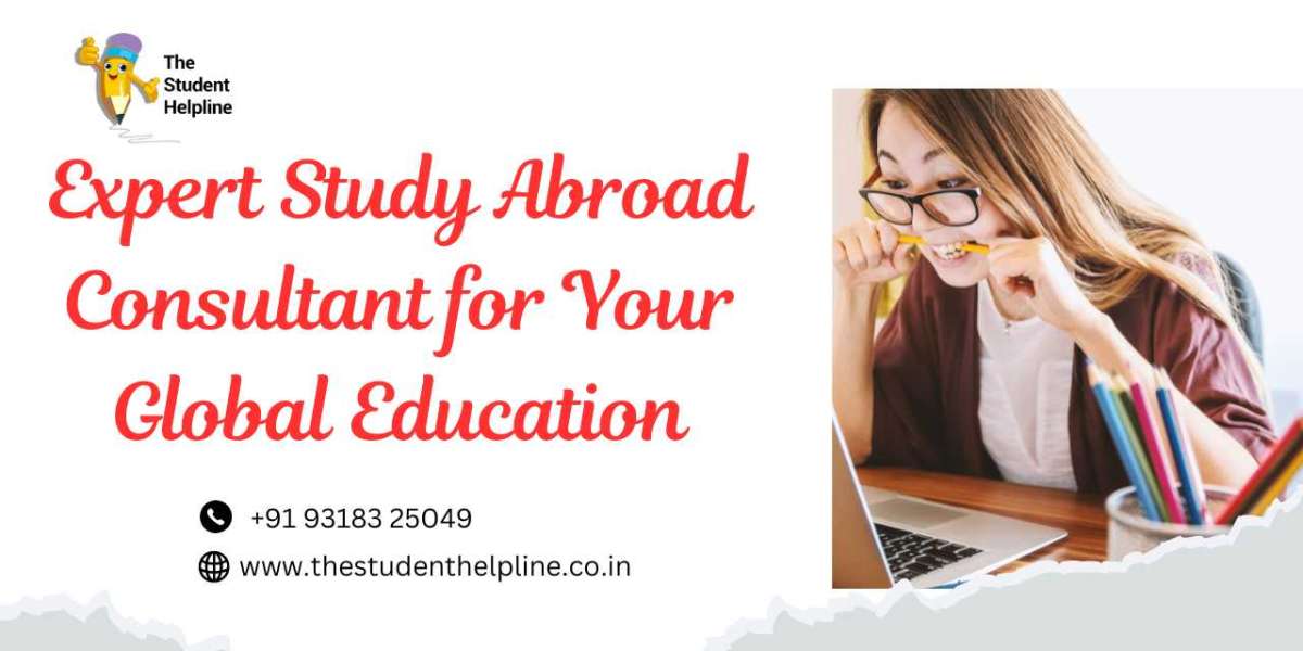 Expert Study Abroad Consultant for Your Global Education