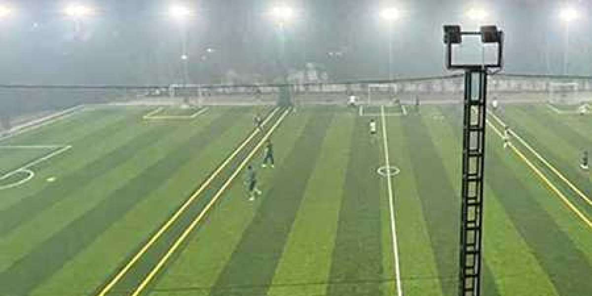 Premier Turf Ground Development in Delhi for All Sports