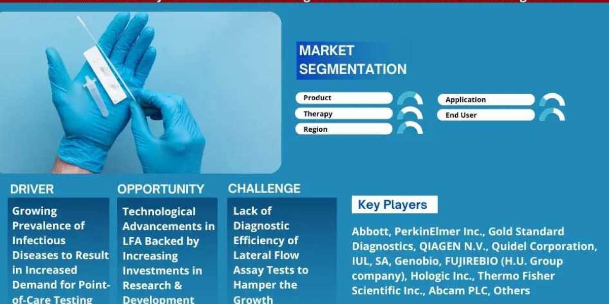 Lateral Flow Assay Market to Exhibit a Remarkable CAGR of 3.4% by 2030