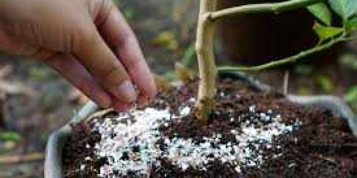 Why Organic Fertilizer is the Best Choice for Your Home Garden