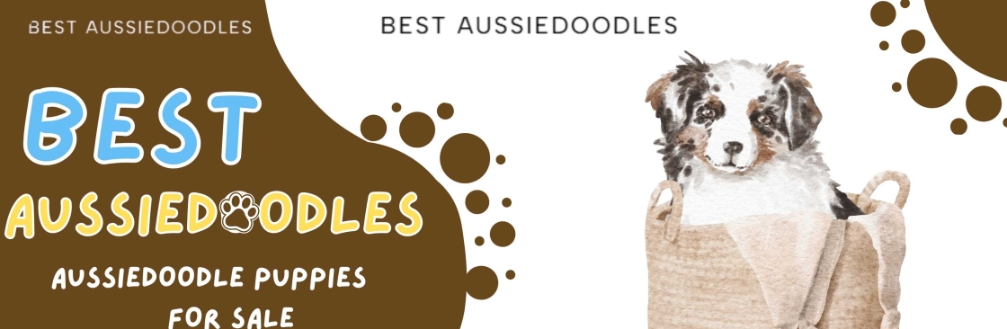 Best Aussiedoodles Cover Image