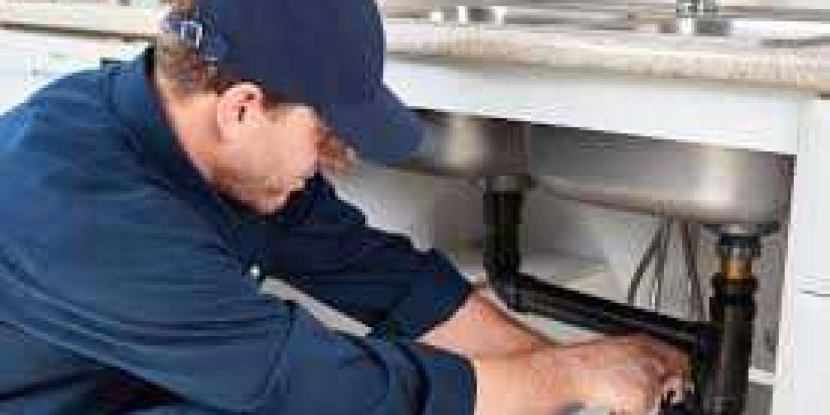 What Services Can a Local Plumber Near Me Provide and Why Should You Choose One?