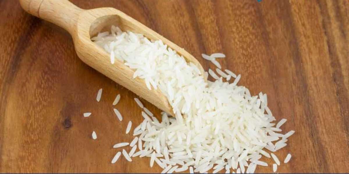 Basmati Rice Market Trends, Size, Share and Industry Report | 2033