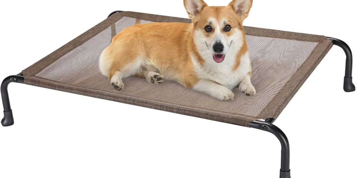 How to Maintain and Care for Your Washable Elevated Pet Bed