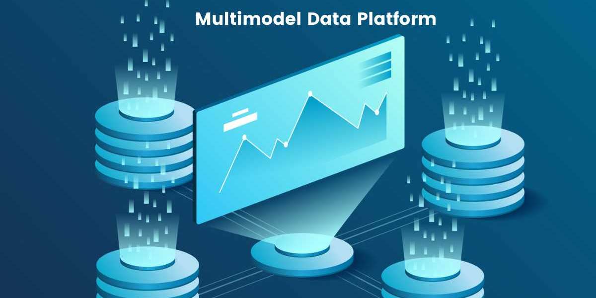 Achieving Operational Excellence with Multimodel Data Platforms: A Practical Approach