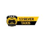 13silver taxy Profile Picture