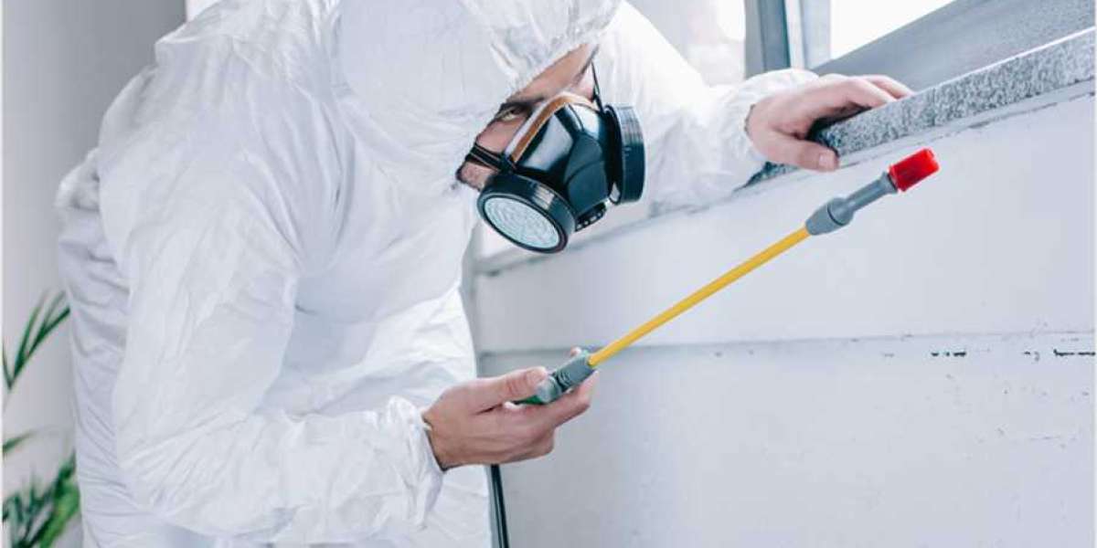 How Pest Inspection Services Can Save Your Home from Disaster