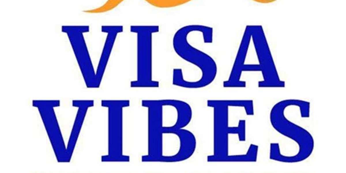 Best Immigration Agent Sydney - VISA VIBES PTY LTD