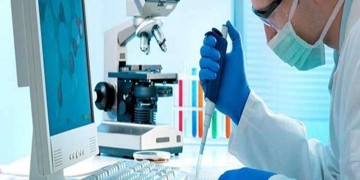 Global Clinical Laboratory Services Market Key Trends, Growth Drivers, and Key Players (2024-2032)