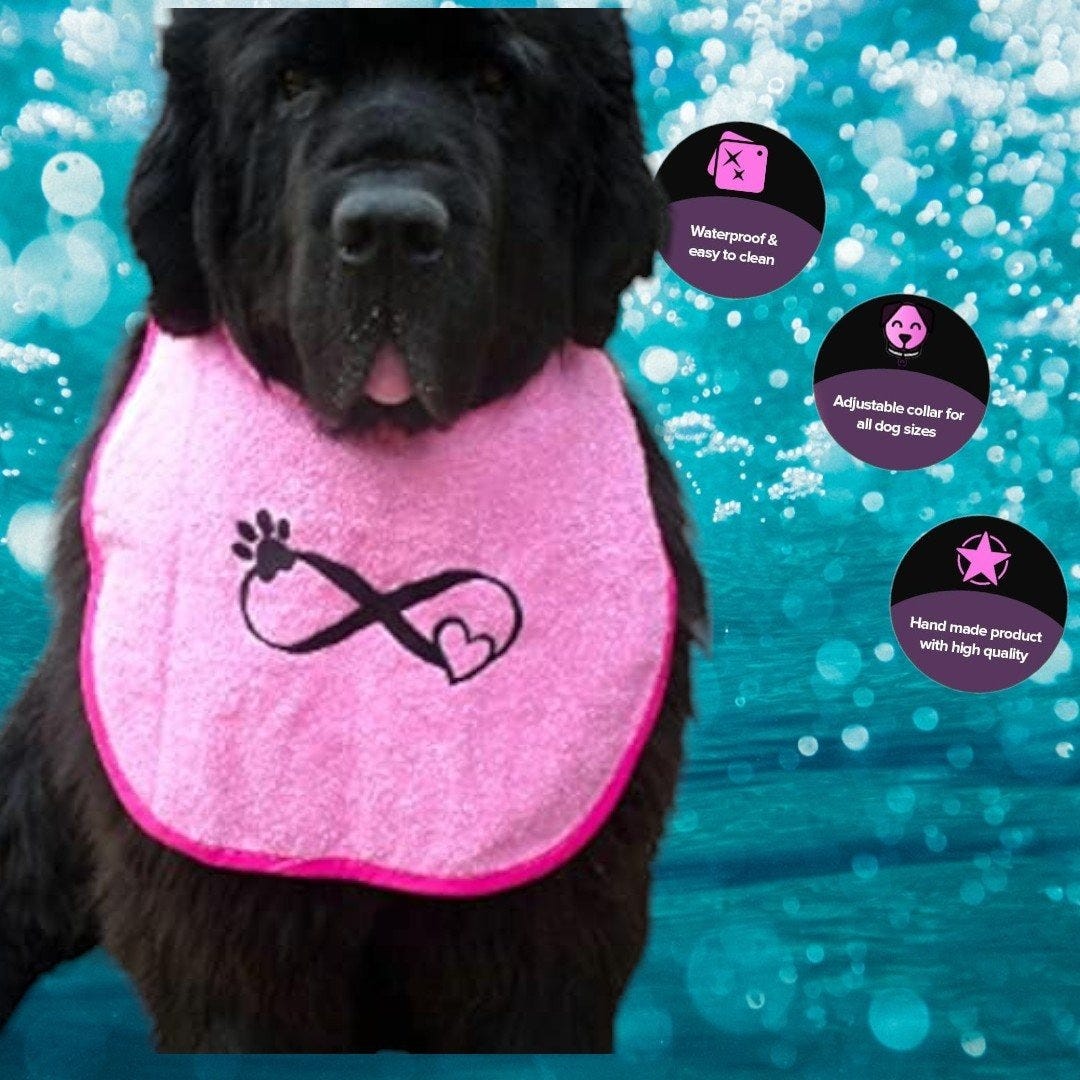 Newfoundland Dog Bib: Best Solution to Deal with Drooling | by Doggiesworld | Dec, 2024 | Medium