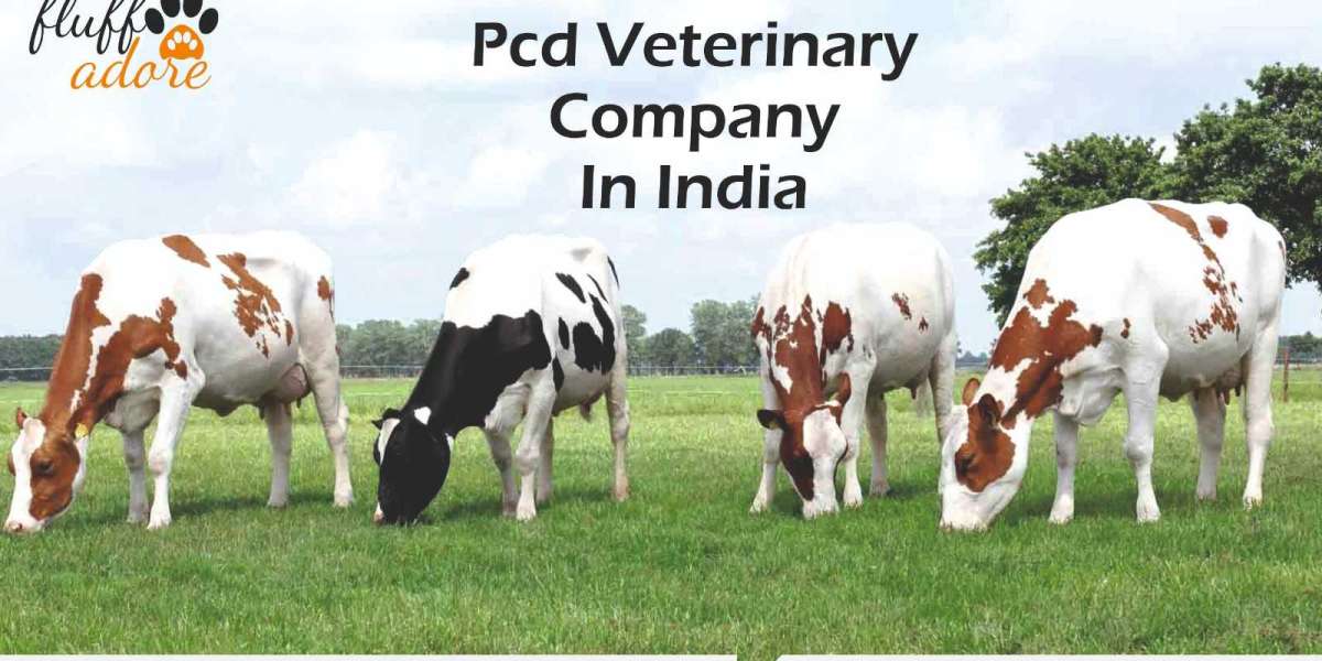 Veterinary PCD Franchise Company in India