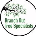 Branch Out Tree Specialist Profile Picture