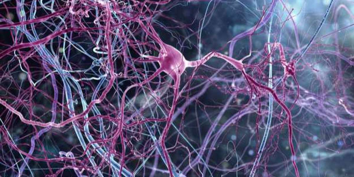 Central Nervous System (CNS) Therapeutics Market Share & Report 2025-2033