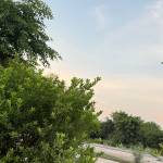 Jerry Lynch Profile Picture