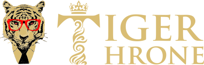 SEO Agency in Hyderabad | Tigerthrone.com